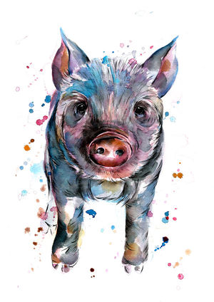Piglet