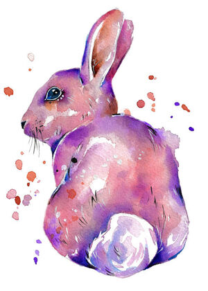 Pink Rabbit