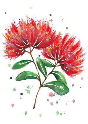Pohutukawa Branch