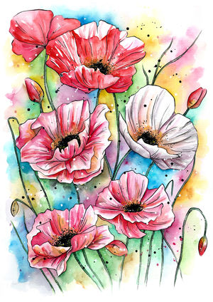 Poppies