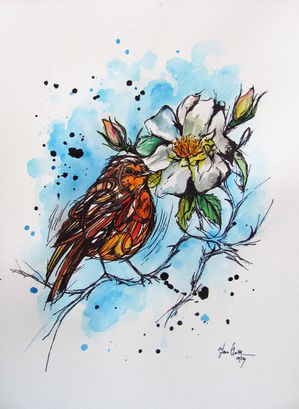 White Rose and Robin