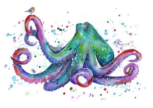 Rainbow Octopus