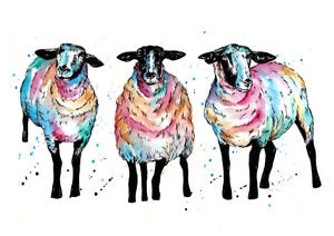 Rainbow Wool