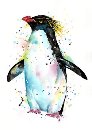Rockhopper Penguin