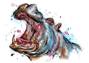 Rustic Hippo