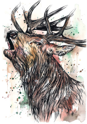 Rustic Stag