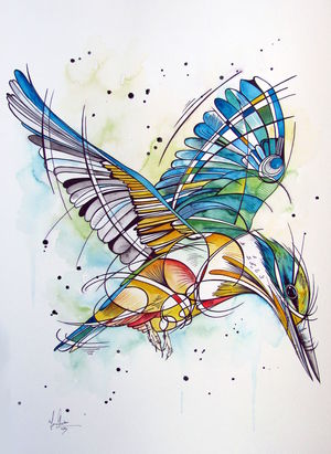 Sacred NZ Kingfisher
