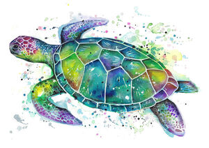 Sea Turtle