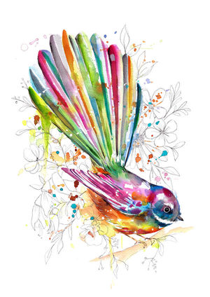 Sketchy Fantail