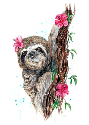 Sloth