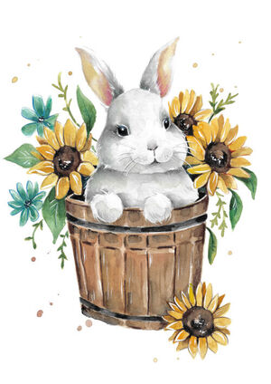 Sunflower Bunny