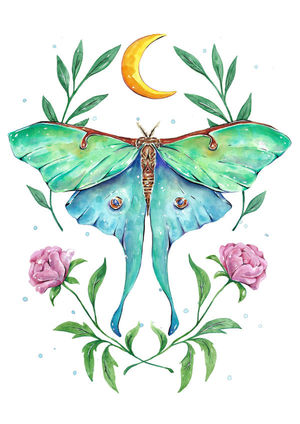 Teal Luna Moth
