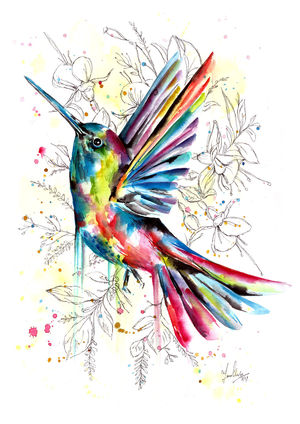 Soaring Hummingbird