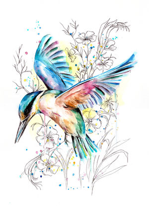 Soaring Kingfisher