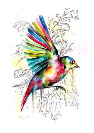 Soaring Wax-eye