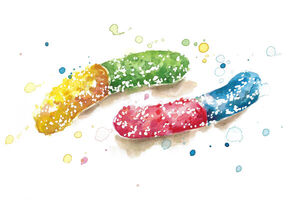 Sour Worms