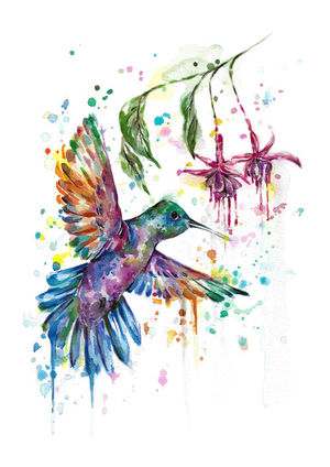 Spring Hummingbird