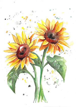 Sunflower Splash