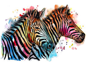Sunset Zebras