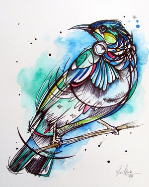 Tui Illustration