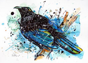 Tui Splash