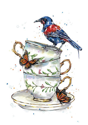 Tea Cup Saddleback