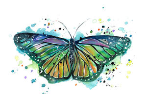 Teal Butterfly