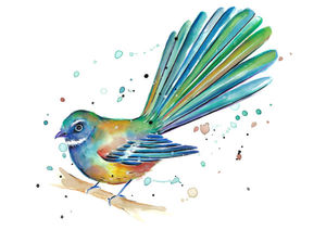 Teal Fantail
