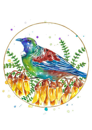 Tui Bird Loop