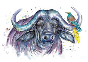 Tui and Buffalo