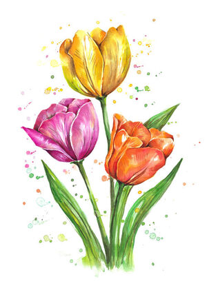 Tulips
