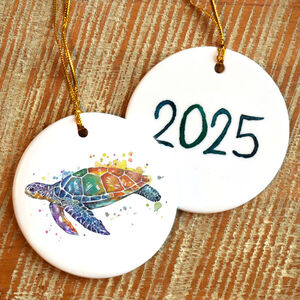2025 Turtle Ornament