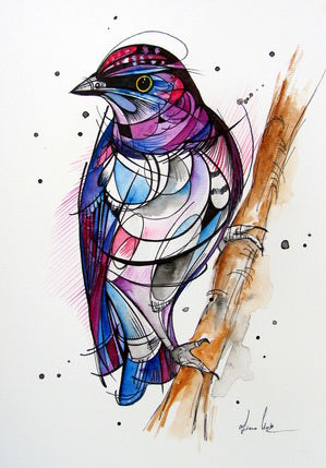 Violet- backed Starling