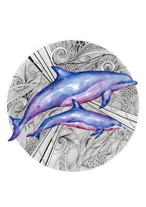 Wild Dolphins