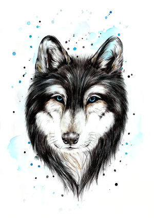 Wolf Splash