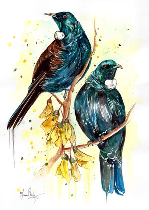 Tuis and Kowhai