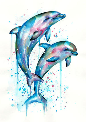 Dolphins