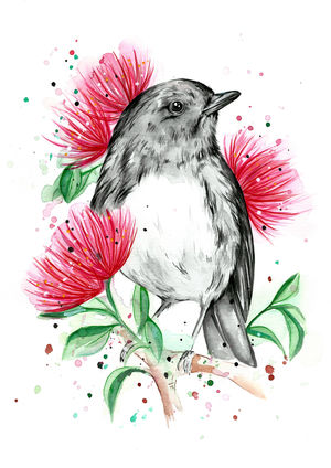 Pohutukawa Robin 