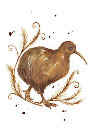 Coffee Kiwi Bird