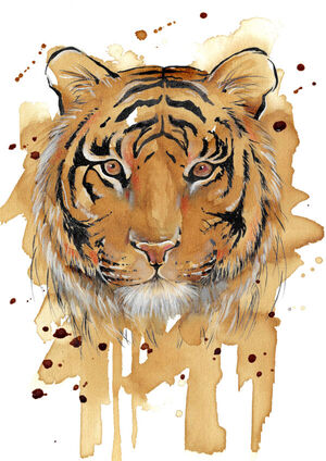 Coffee Tiger