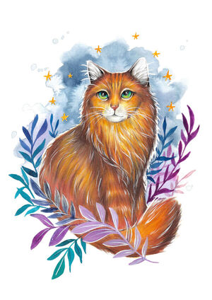 Galaxy Kitty