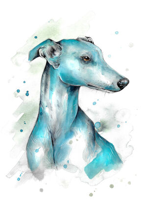 Greyhound