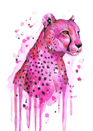 Pink Cheetah