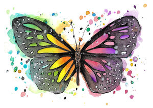 Rainbow Butterfly Splash