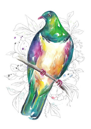 Rainbow Native Kereru