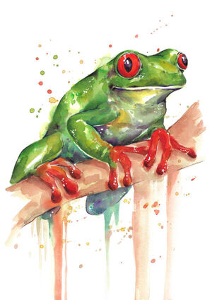Red-Eyed Tree Frog
