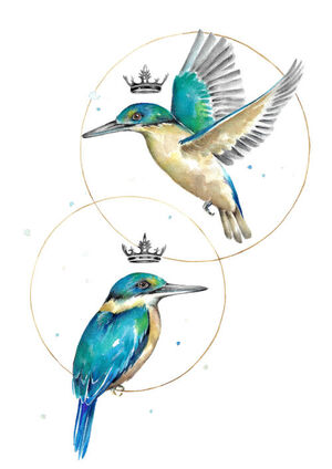 Regal Kingfishers