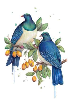 Wild Kereru and Karaka Berries