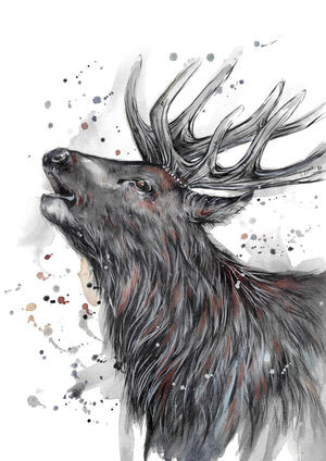 Wild Roaring Stag