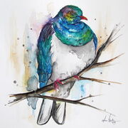 25x25_NZ_PIGEON.jpg